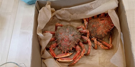 Powiększ grafikę: international-food-project-kl-1-myp-680538.jpg