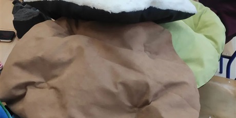 Powiększ grafikę: psyjaciele-mlodzi-dla-zwierzakow-654882.jpg