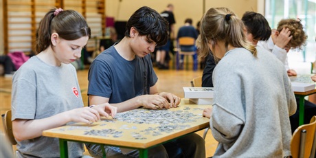 Powiększ grafikę: puzzloniada-emocje-na-500-kawalkow-626656.jpg