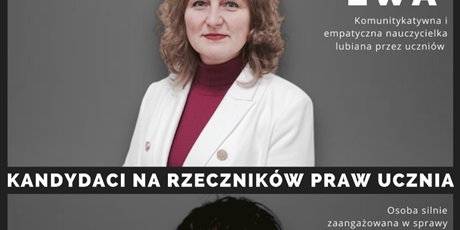 Powiększ grafikę: wybory-szkolnego-rzecznika-praw-ucznia-579337.jpg