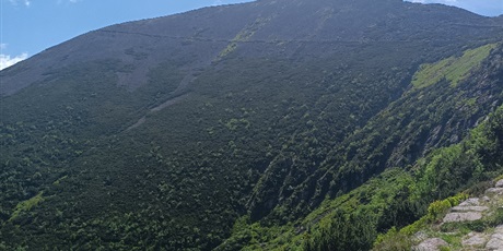 Powiększ grafikę: wyprawa-w-karkonosze-702933.jpg