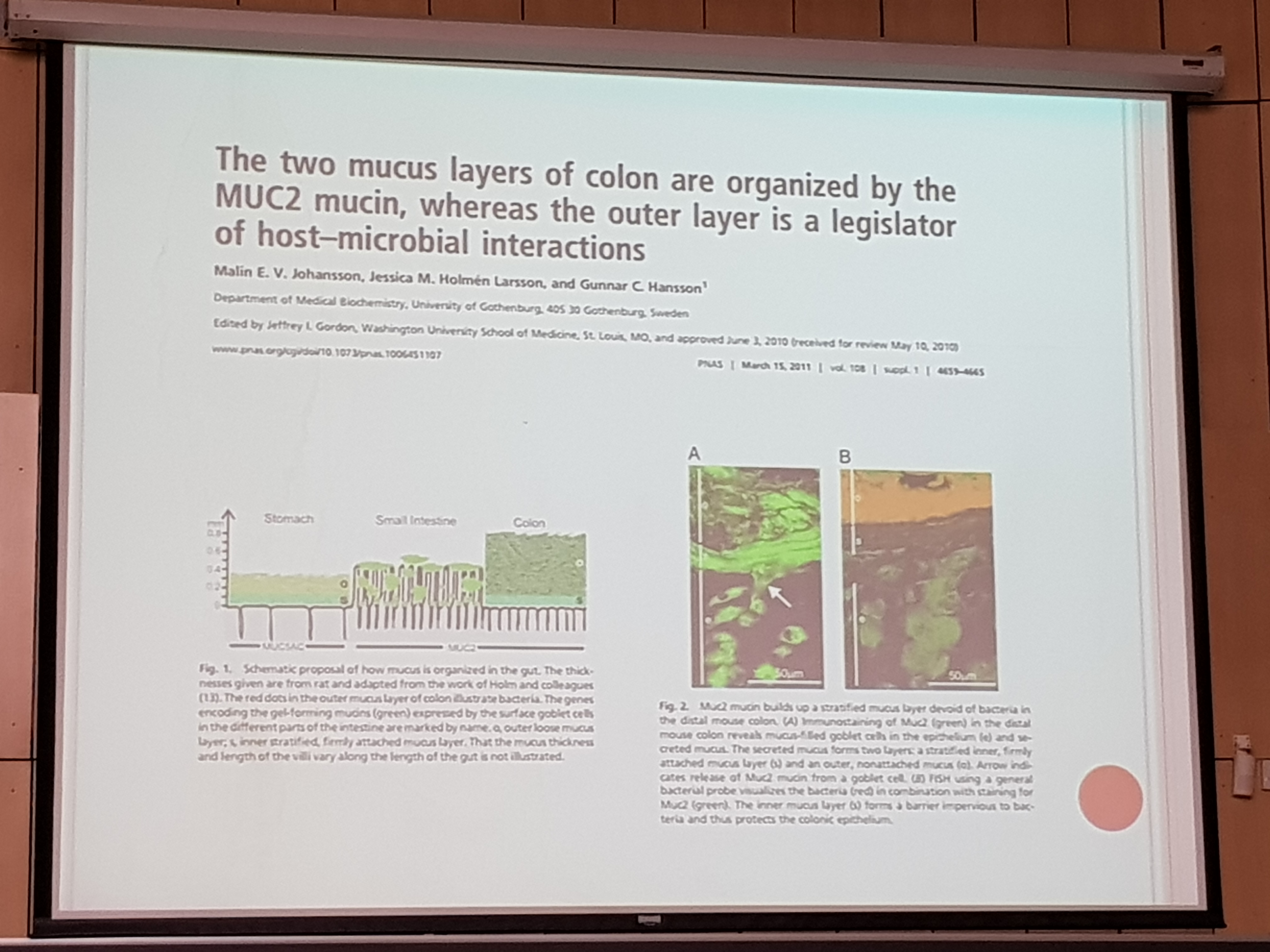 biol-24-03-04.jpg