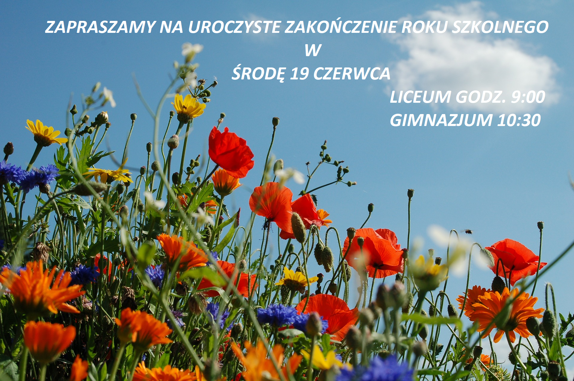 zakonczenie18-19.png